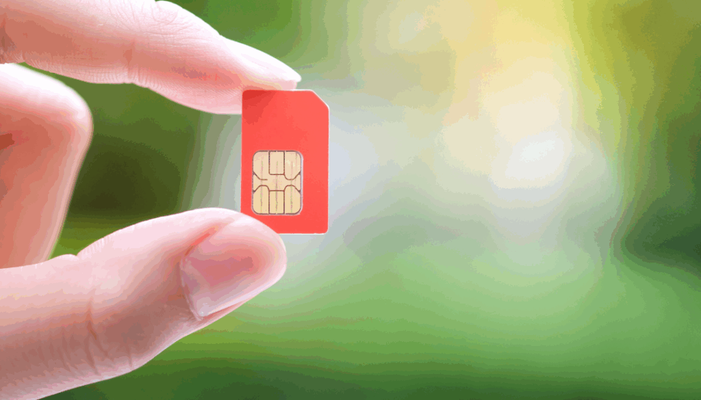 karta eSIM vs Karta SIM