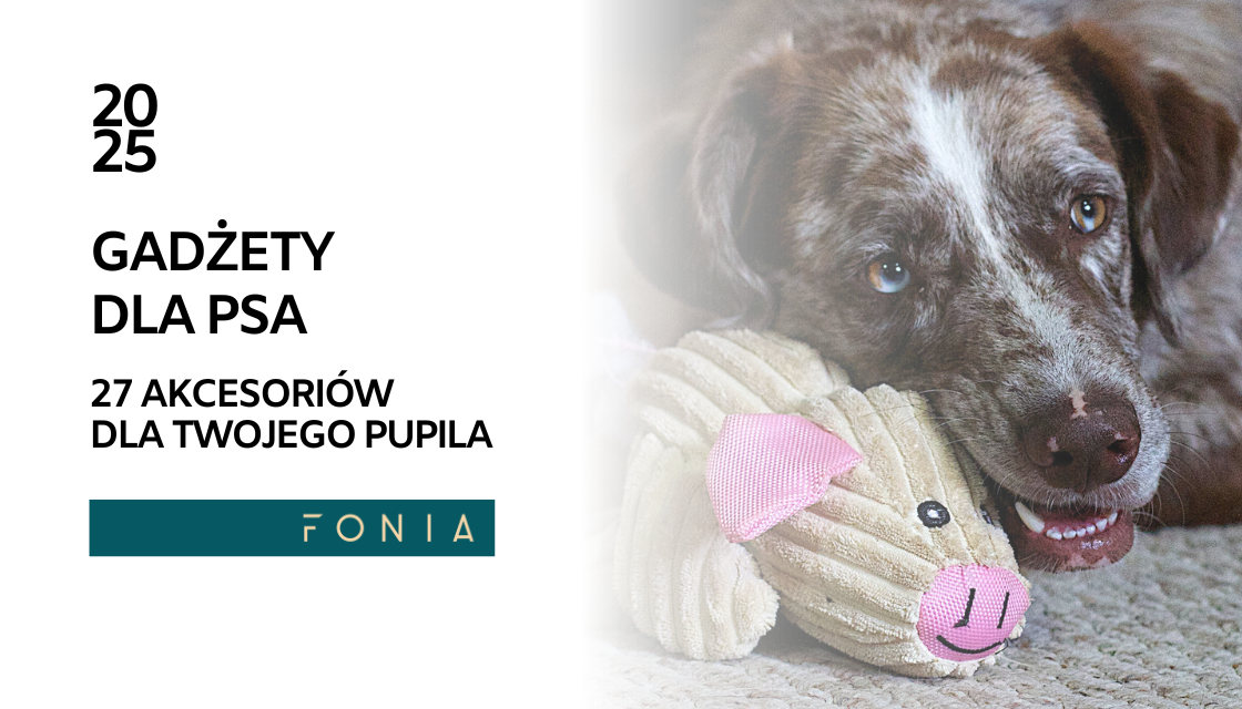 przydatne gadżety dla psa